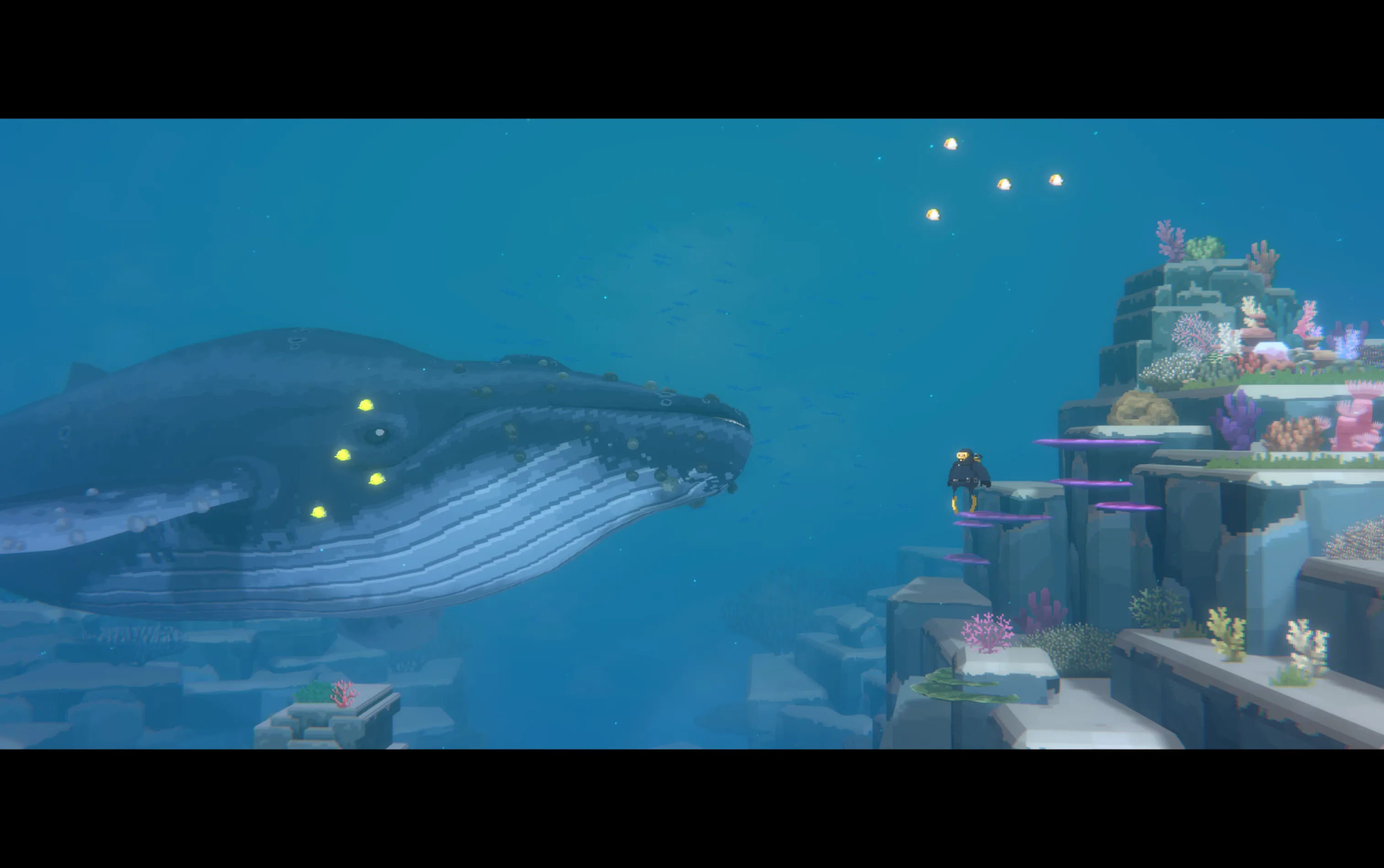dave the diver