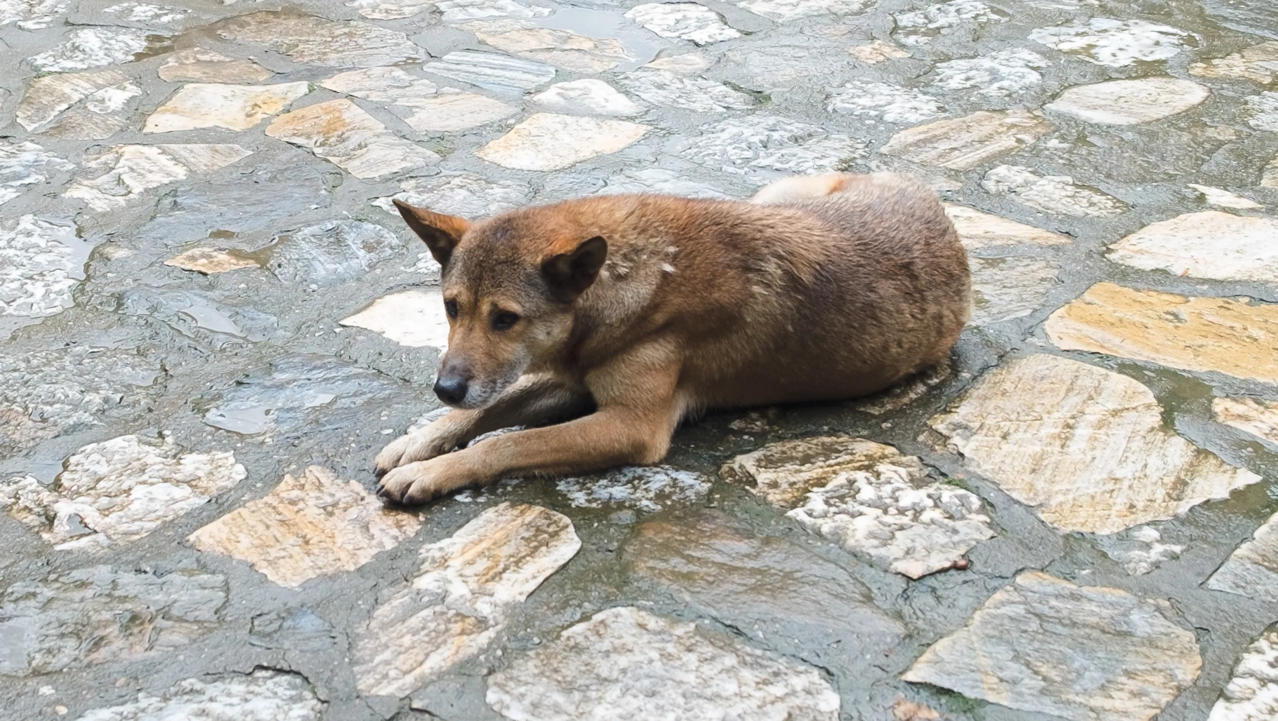 Sa Pa, Vietnam