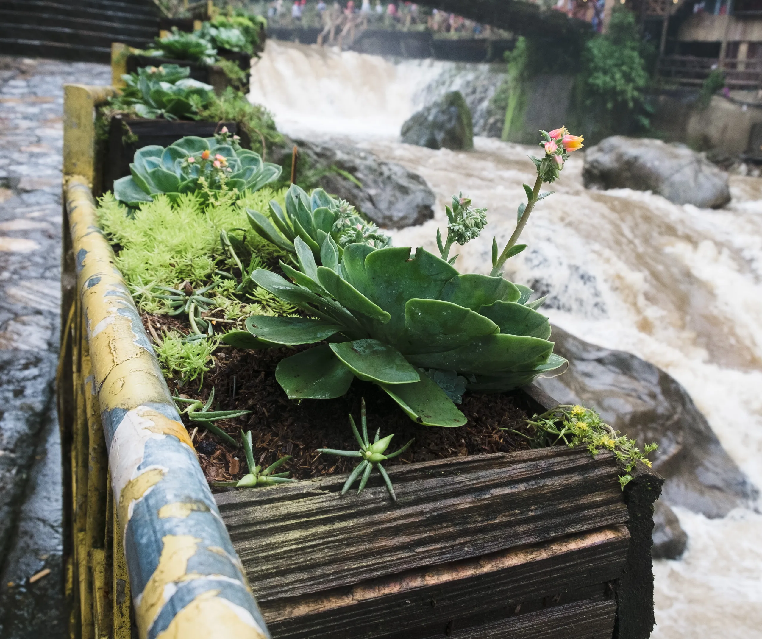 Sa Pa, Vietnam